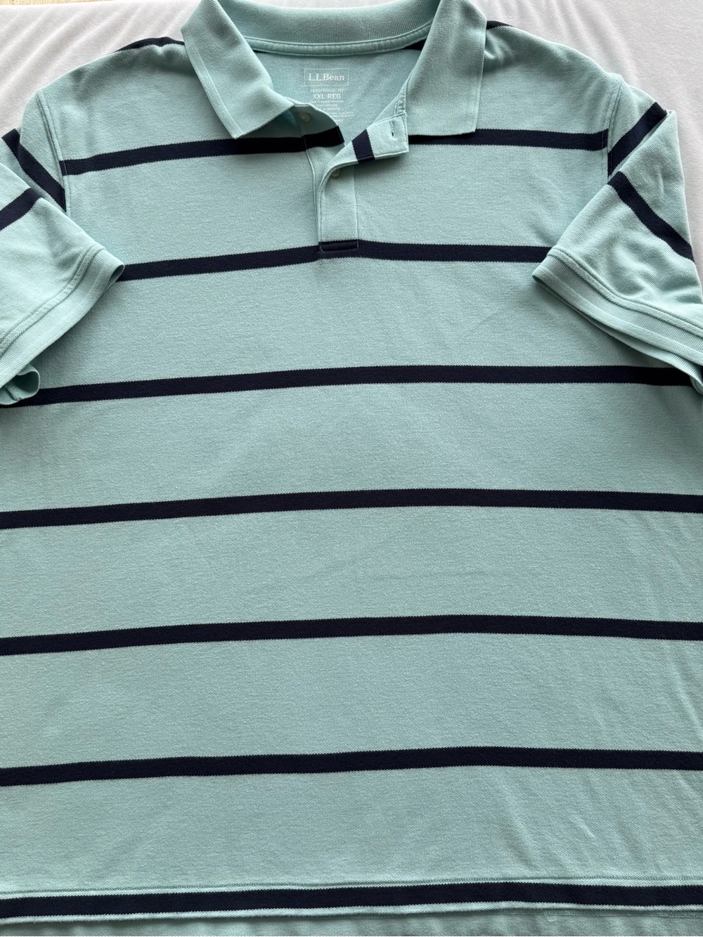 L.L. Bean Men's Mint Green Polo with Navy Stripe